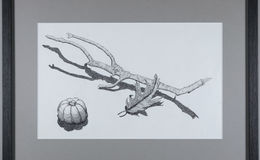 E205 - PH1540 - M6072